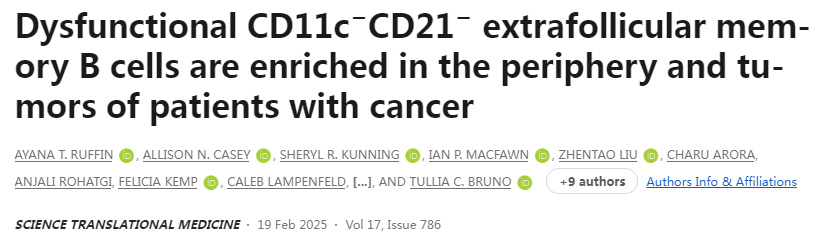 功能失調的CD11c?CD21?毛囊外記憶B細胞在癌癥患者的外周和腫瘤中富集 功能失調的CD11c?CD21?毛囊外記憶B細胞在癌癥患者的外周和腫瘤中富集