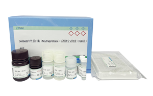 西寶生物隆重推出兩款蛋白酶檢測試劑盒 - 精準檢測,賦能生物制藥質(zhì)量控制
