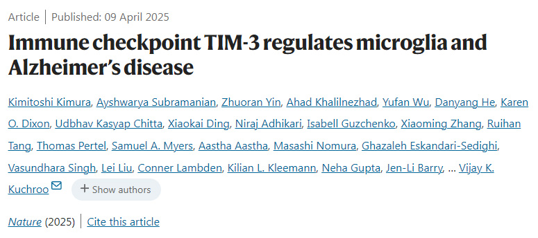 免疫檢查點TIM-3調節小膠質細胞和阿爾茨海默病 免疫檢查點TIM-3調節小膠質細胞和阿爾茨海默病