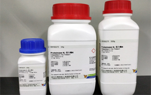 蛋白酶K / Proteinase K(CAS:39450-01-6)(from Tritirachium album limber)