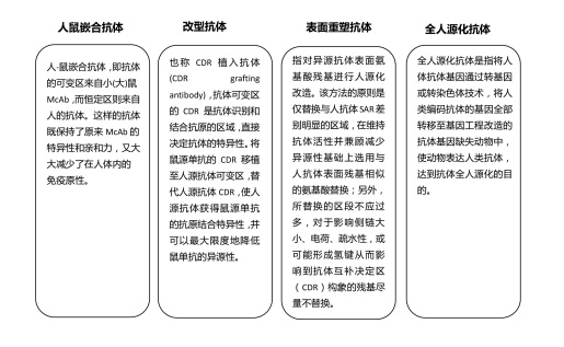 抗體人源化原理