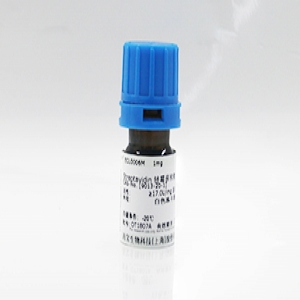RNAse 抑制劑 