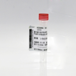 Seebio? 硫酸葡聚糖鈉鹽 5,000分子量對照品（DSS）