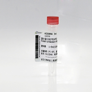 人肌鈣蛋白T(cTnT)抗體